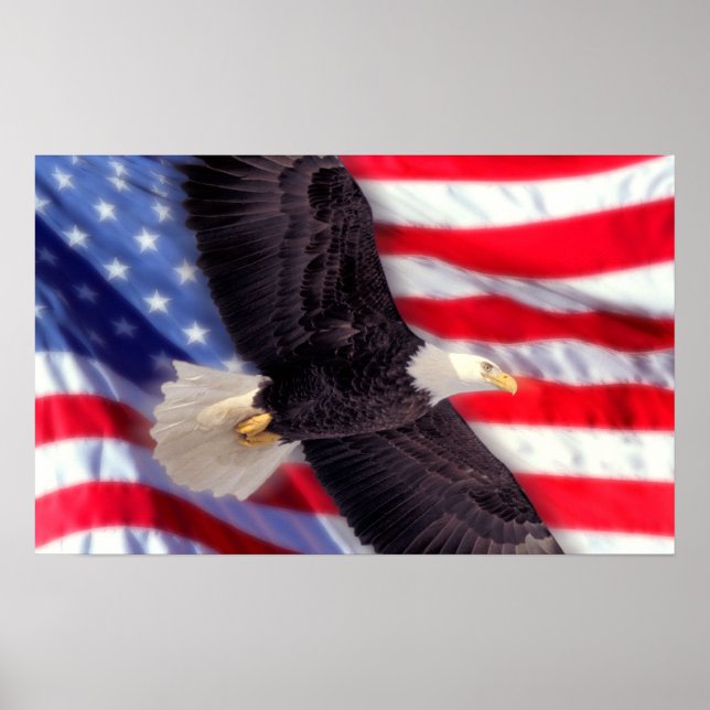 Pôster Águia Americana com Bandeira Americana (Frente)