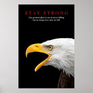 Poster Águia americana forte da estada inspirador