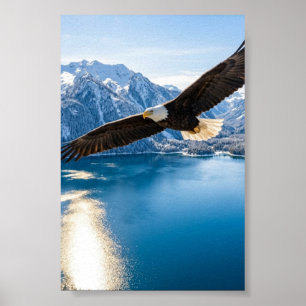 Poster Águia Americana Voando sobre Lago de Montanha Post