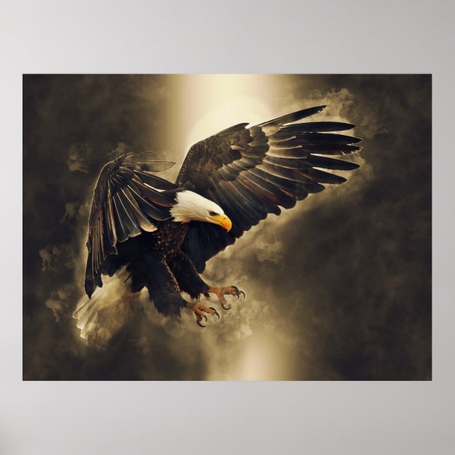 Poster Águia Balda Americana Deixa a Liberdade Soar (Frente)