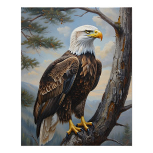 Pôster Águia Balda Empoleirada Numa Arte De Pintura De Ól