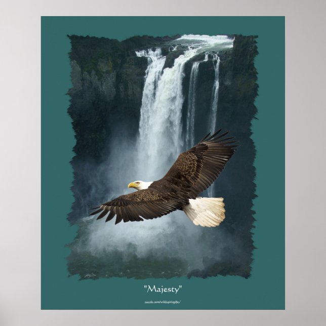 Pôster Águia Balda & Snoqualmie Waterfall Natureza (Frente)