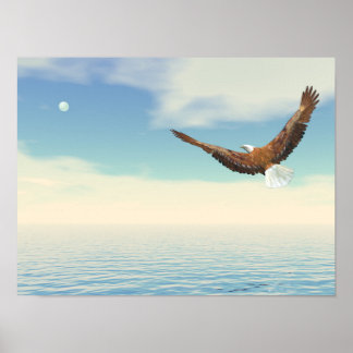 Poster Águia caída voando sobre o oceano até a lua