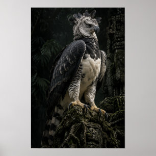 Poster Águia-Cinzenta em Arte de Parede de Floresta Tropi
