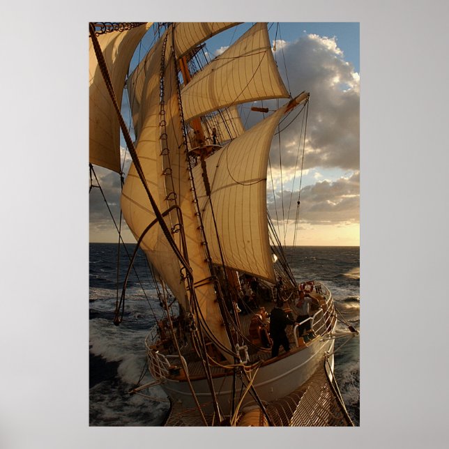 Pôster Águia do Mar (Frente)