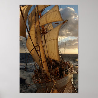 Poster Águia do Mar