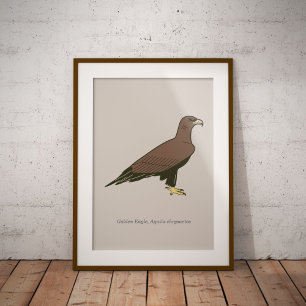 Poster Águia ouro