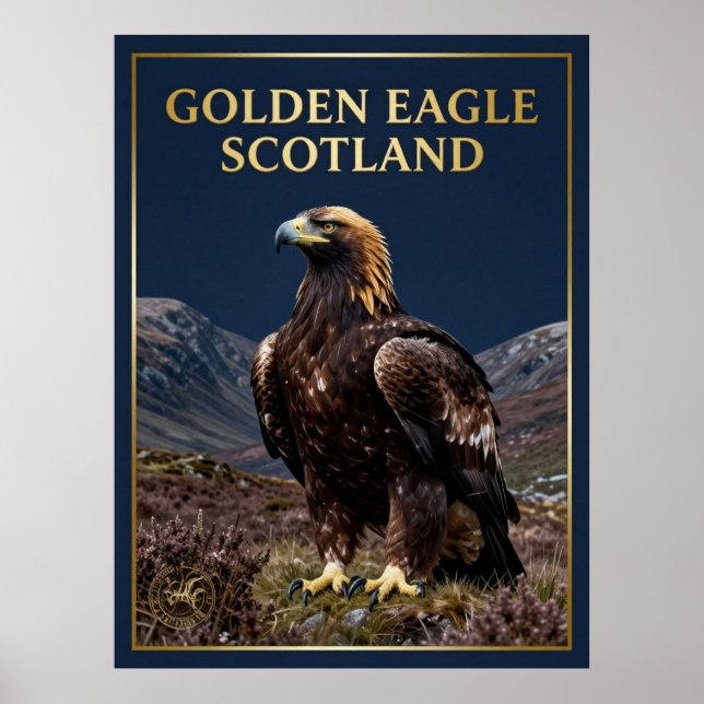 Poster 🦅 Águia-real Escócia Highland Ave (Frente)