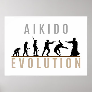 Pôster Aikido Evolution