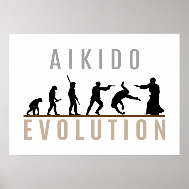 Pôster Aikido Evolution (Frente)