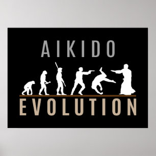 Pôster Aikido Evolution