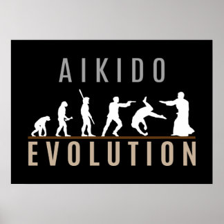 Pôster Aikido Evolution