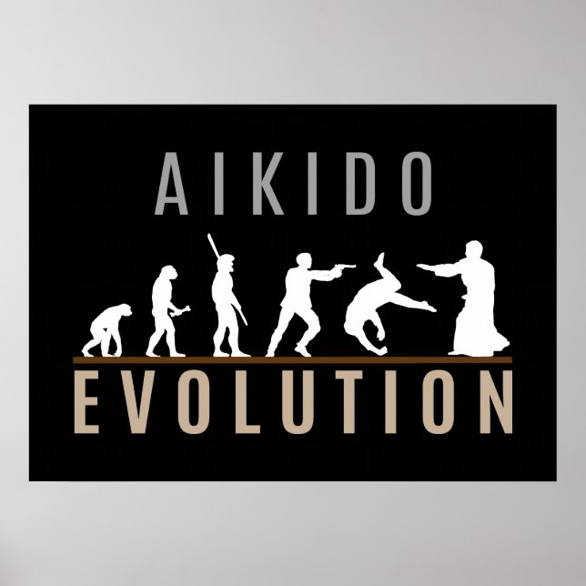 Pôster Aikido Evolution (Frente)