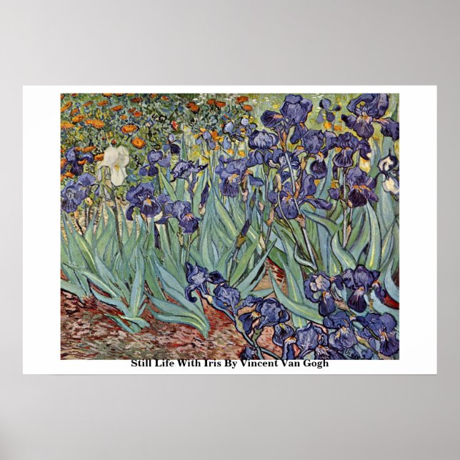 Poster Ainda Com A Iris Por Vincent Van Gogh (Frente)