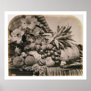 Poster Ainda com Fruta, 1860 (foto sepia)