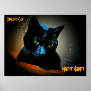 Poster Ainda está olhando-o na noite