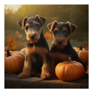 Pôster Airedale Puppy Autumn Delight Pumpkin