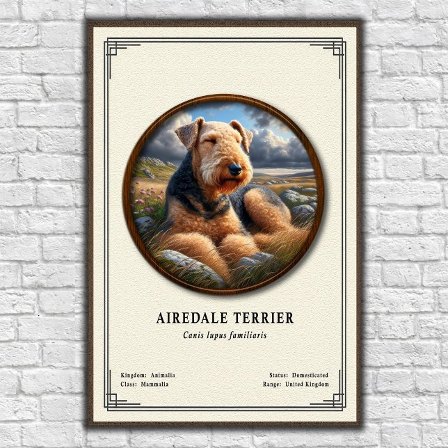 Poster Airedale Terrier Zoology Series (Criador carregado)