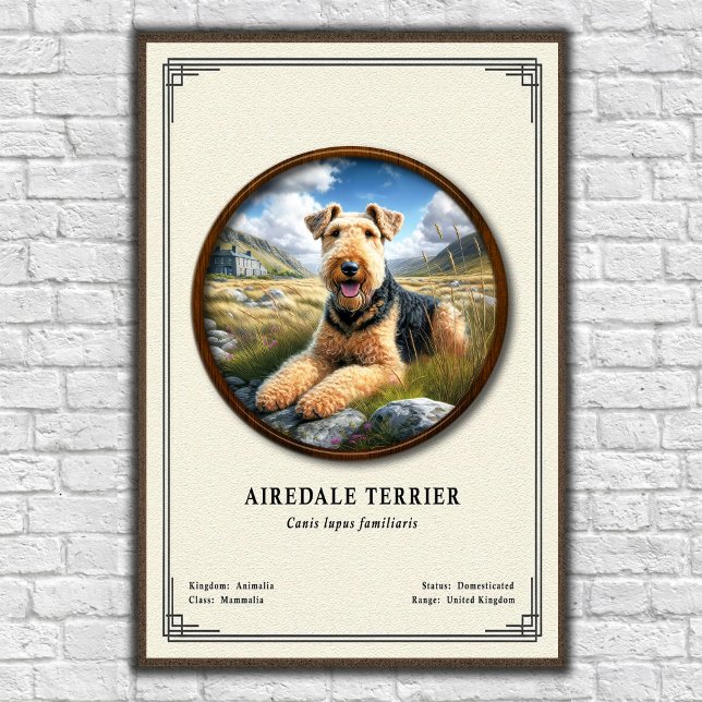 Poster Airedale Terrier Zoology Series (Criador carregado)