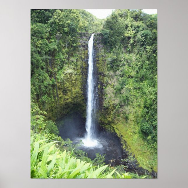 Poster Akaka Falls (Frente)