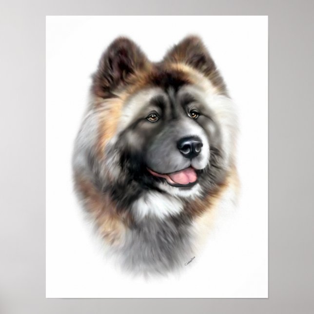 Pôster Akita (Frente)