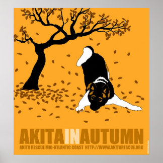 Poster Akita no outono (24" x 26")