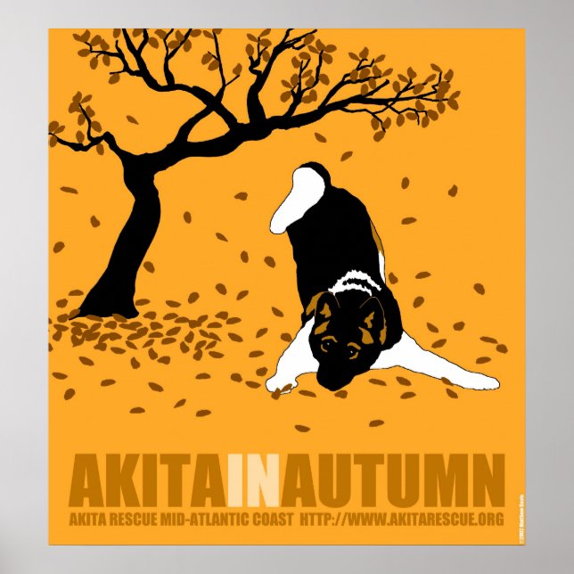 Poster Akita No Outono (30" x 32,5") (Frente)