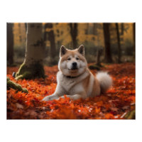 Akita no outono deixa cair inspirada