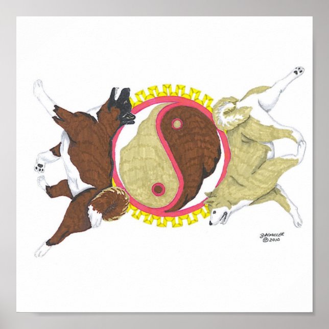 Poster akita yin e yang 2 (Frente)