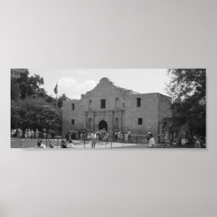 Pôster Alamo