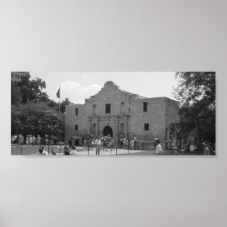 Pôster Alamo