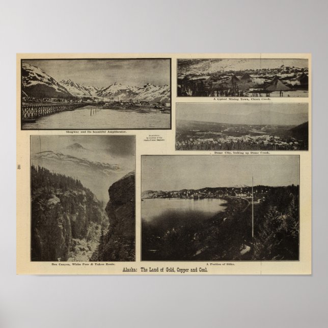 Pôster Alasca 7 (Frente)