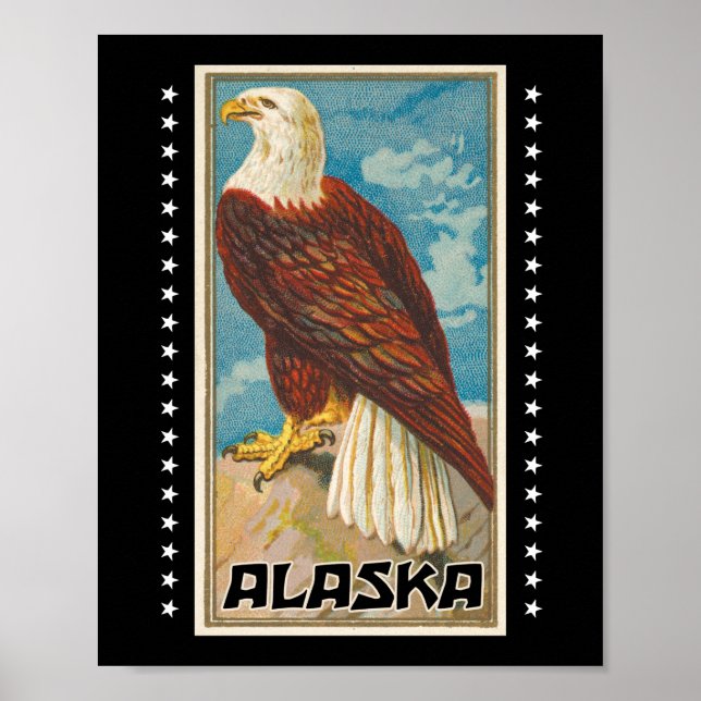 Poster Alasca - Águia Vintage Bald (Frente)