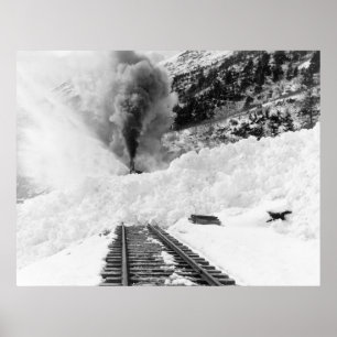 Poster Alasca Avalanche: início dos anos 1900