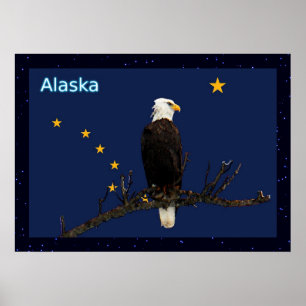 Poster Alaska Eagle And Flag