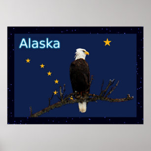 Pôster Alaska Eagle E Flag