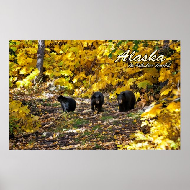 Pôster Alaska, o caminho menos percorrido (Frente)