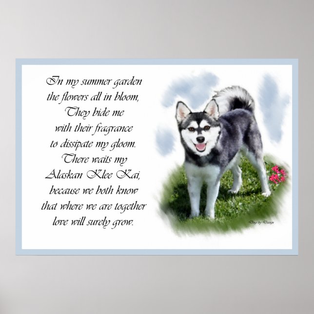 Pôster Alaskan Klee Kai Art (Frente)