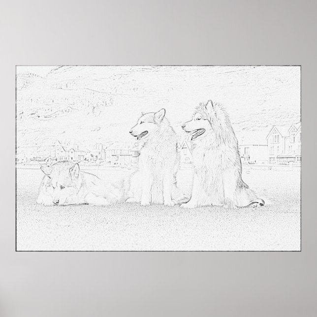 Pôster Alaskan Malamutes (Frente)