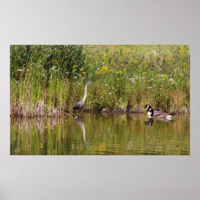 Pôster Alavanca (Frente)