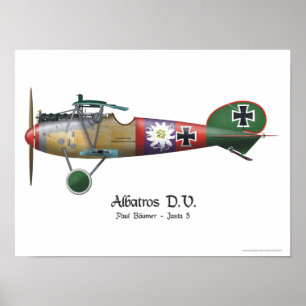 Poster Albatros D.V. ww1 Plano de Combatente alemão Bäume