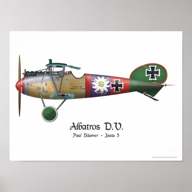 Poster Albatros D.V. ww1 Plano de Combatente alemão Bäume (Frente)