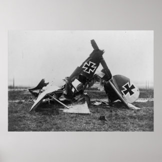 Pôster Albatros DIII
