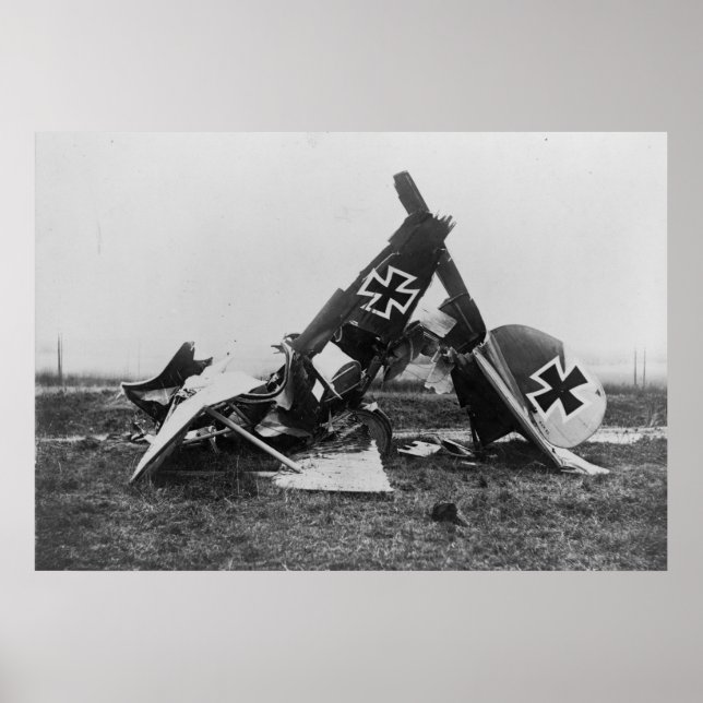 Pôster Albatros DIII (Frente)