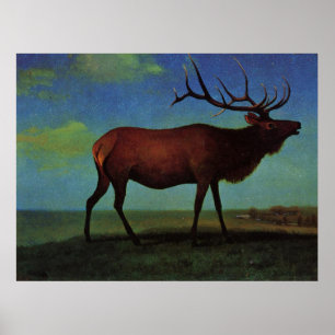 Pôster Albert Bierstadt, Elk