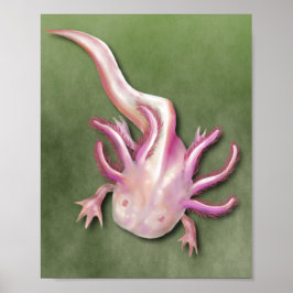 Poster Albino Axolotl "Peixe Andando" Art