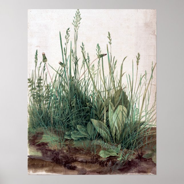 Poster Albrecht Dürer A Grande Peça de Turf (Frente)