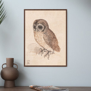 Poster Albrecht Durer A Pequena Arte De Coruja
