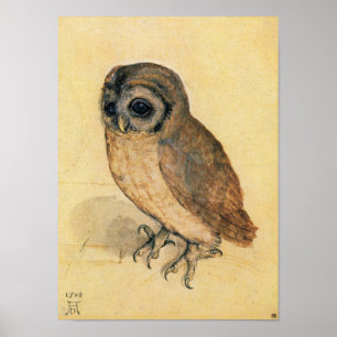 Pôster Albrecht Durer, A Pequena Coruja