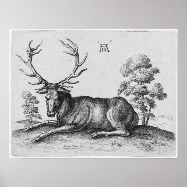 Poster Albrecht Durer Engravando Stag Deer (Frente)